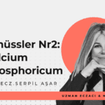 Schüssler Tuzları